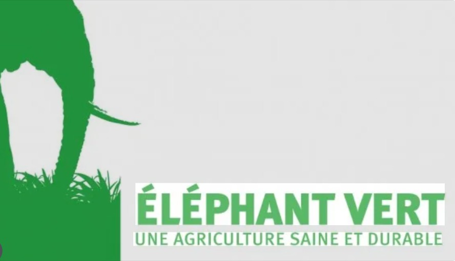 Eléphant Vert